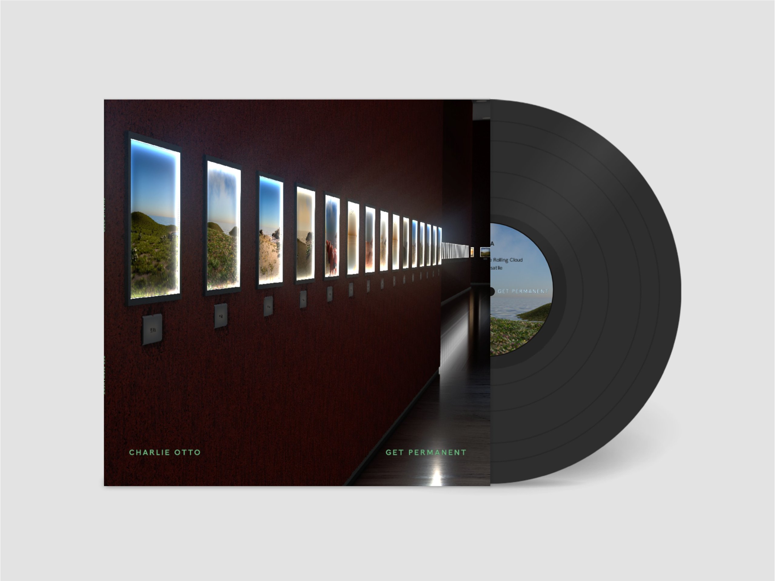 vinyl image front